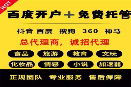 百度推广全攻略：成功案例剖析